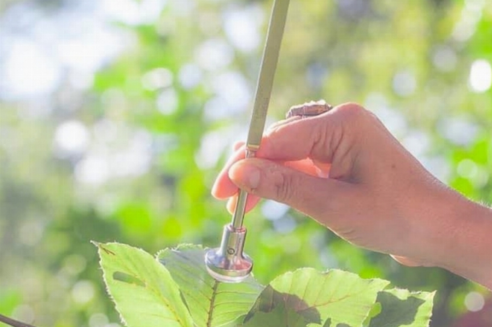 Etherische Olie Workshop met Marije Berkelaar van DoTERRA