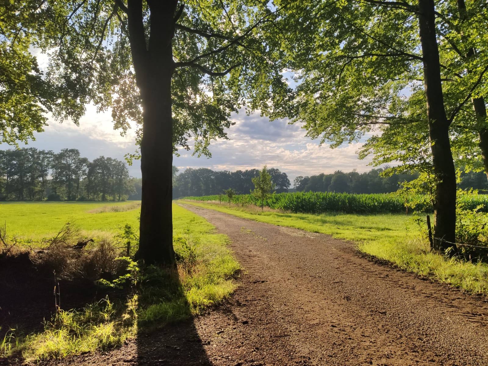 Mindfulness, Yoga & Mind Walk voor kinderen en jongeren