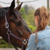 Coachen met paarden - hoe werkt het?