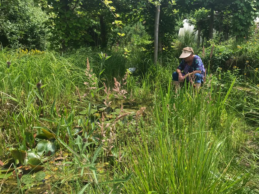 Tineke Wandelt Deel 4: De Kaardebol, Zutphen